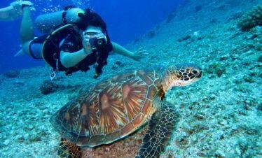 Scuba diver exploring coral reefs at Daymaniyat Islands, Oman