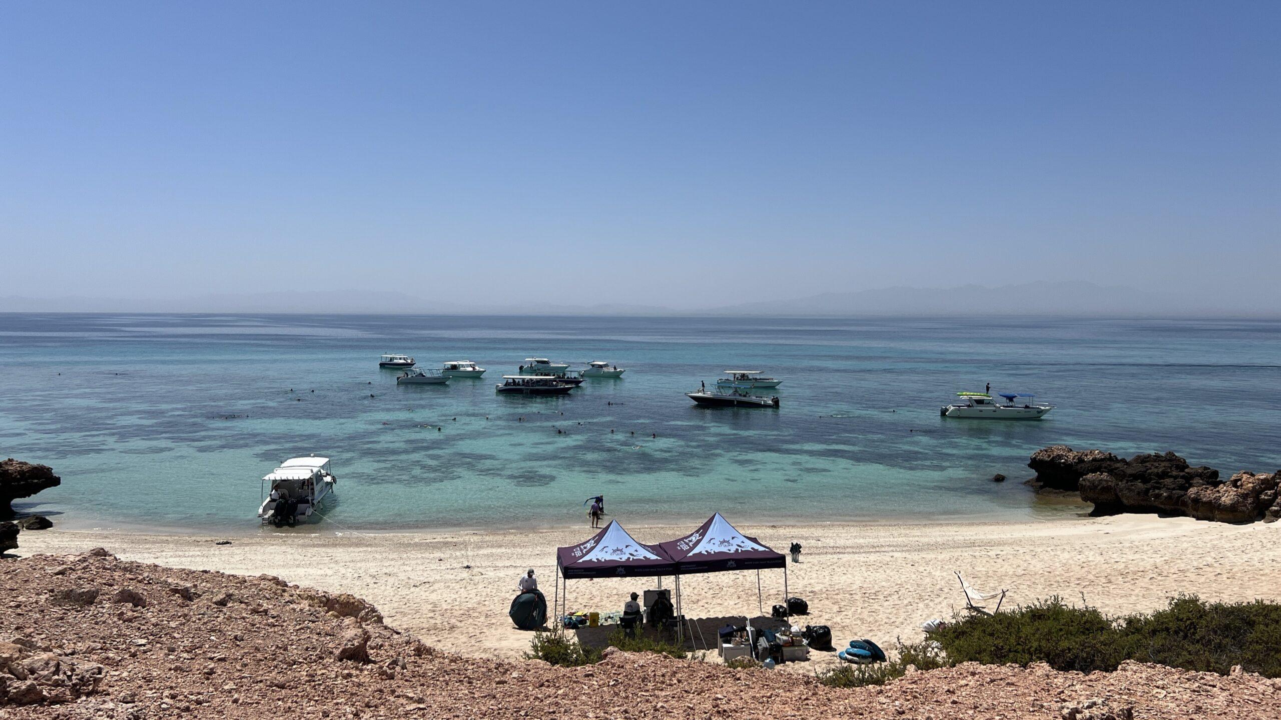 camping experience on Daymaniyat Islands with Seeb Eye Tours
